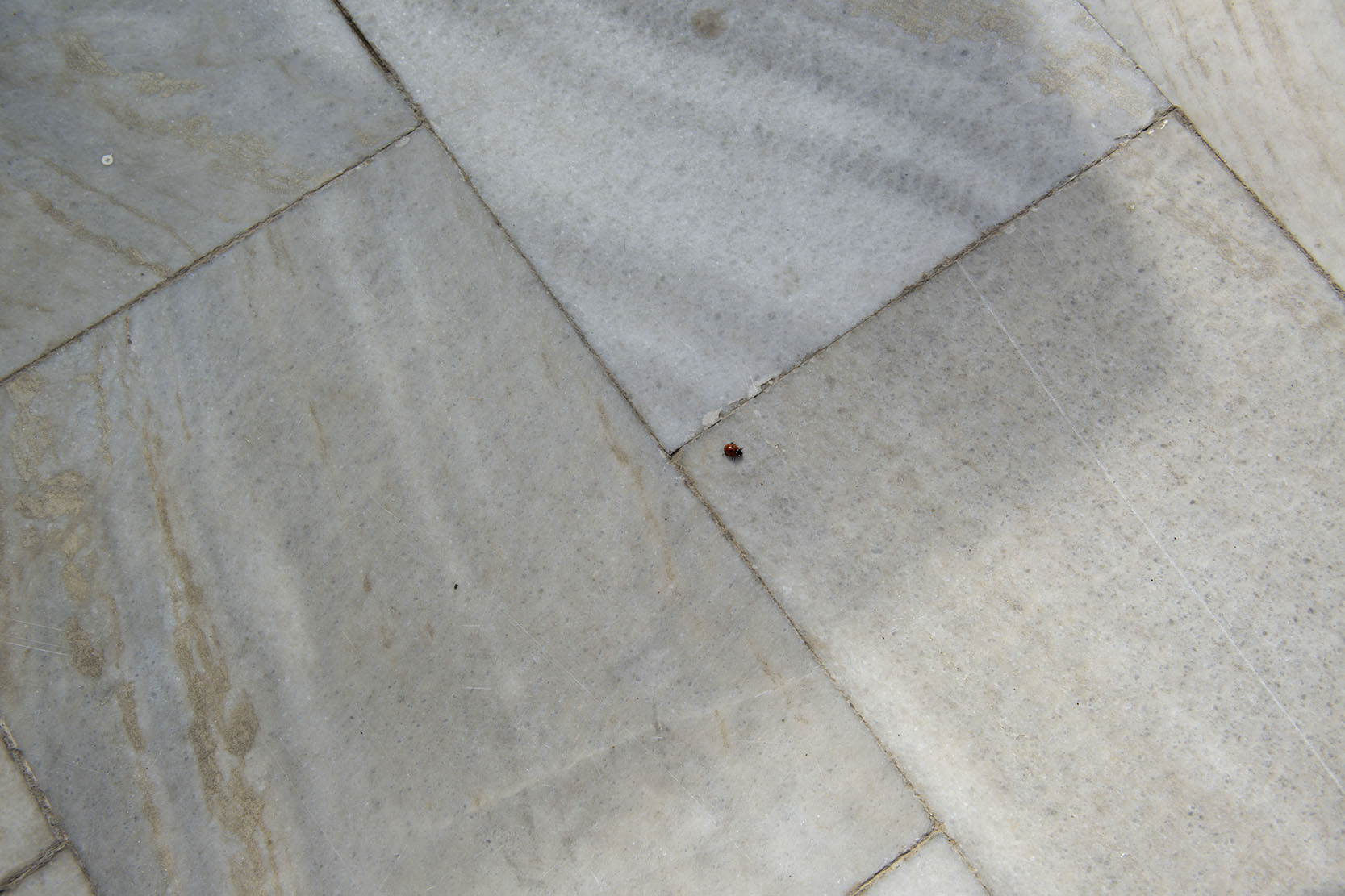 Paris Petridis Photography